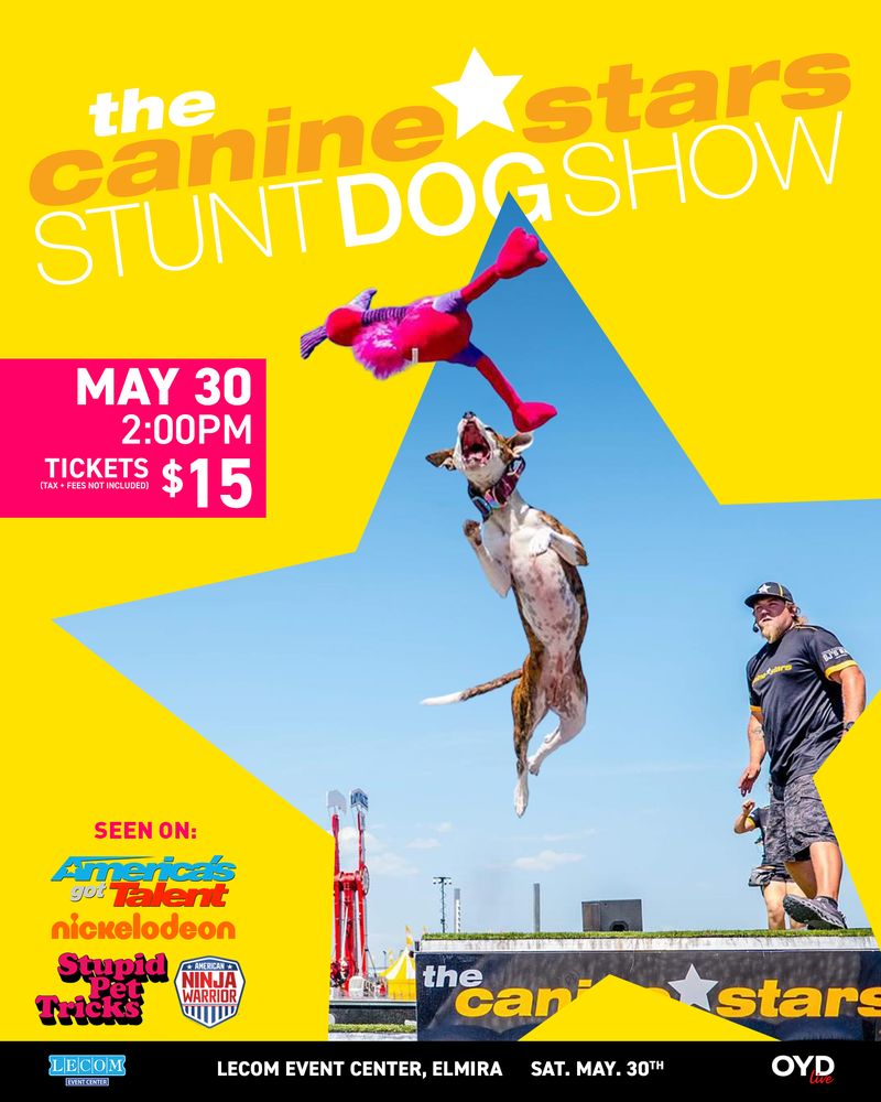 The Canine Stars Stunt Dog Show